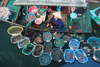 images of Vietnam - Ha Long Bay, Vietnam