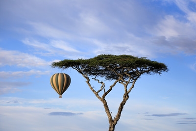 Tanzania pictures - Hot Air Balloons over Serengeti NP