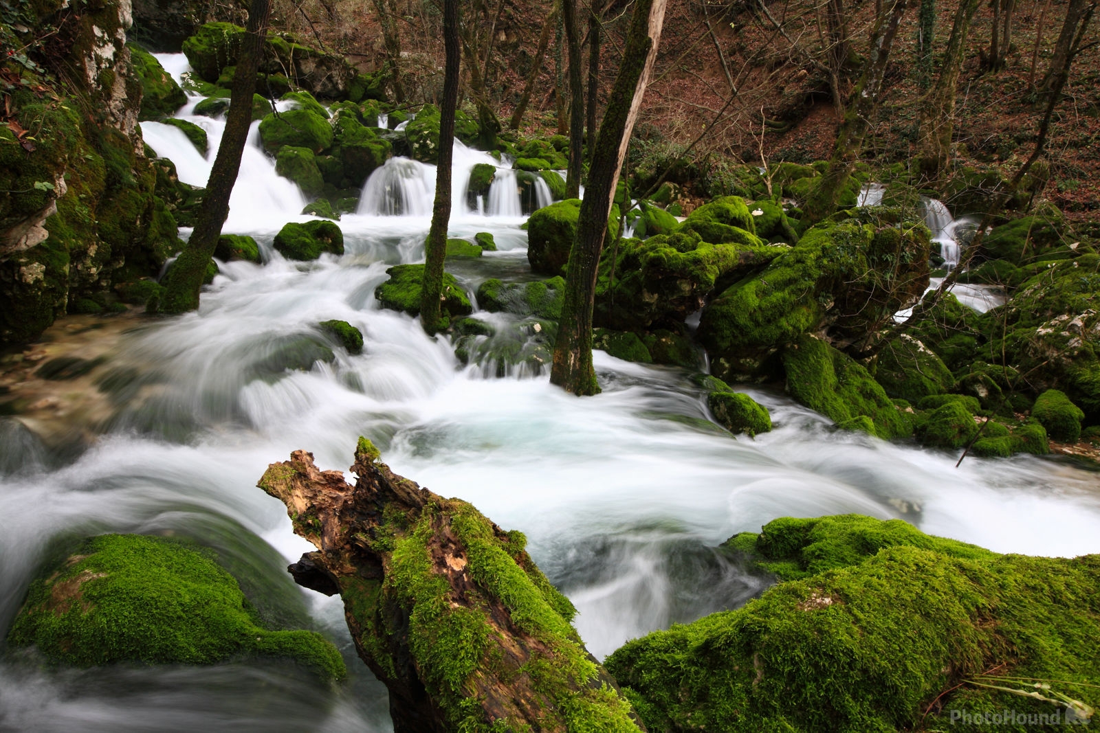 Image of Lijak Creek and Spring, Slovenia by Saša Jamšek