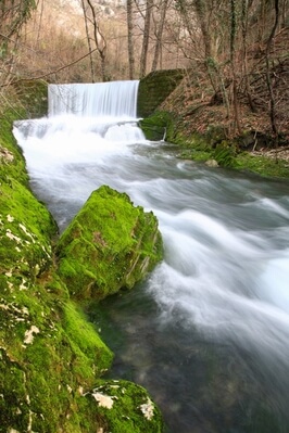 photos of Slovenia - Lijak Creek and Spring, Slovenia