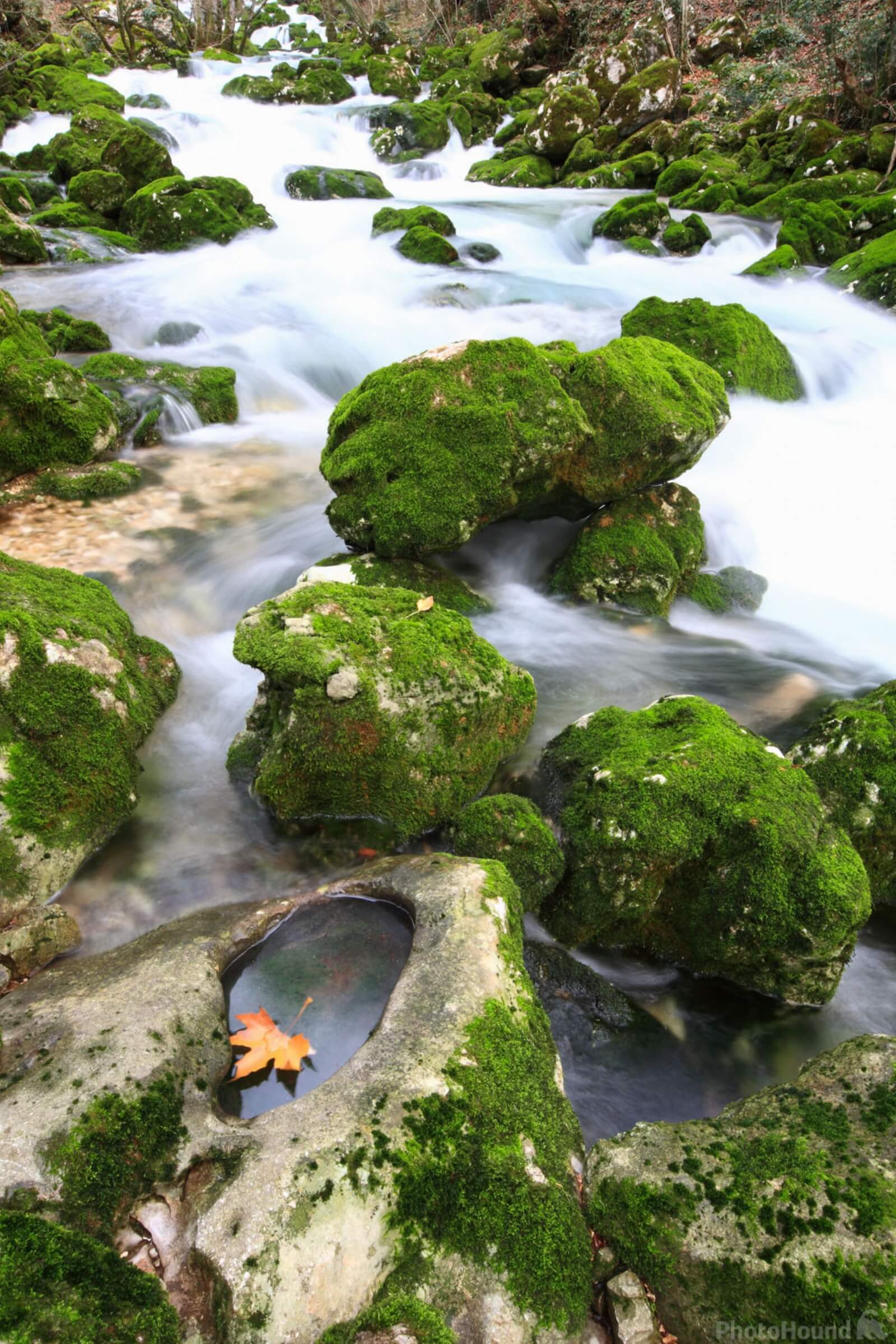 Image of Lijak Creek and Spring, Slovenia by Saša Jamšek