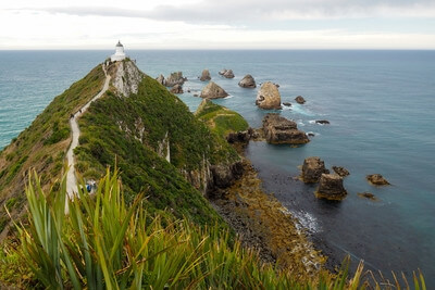 New Zealand photos - Nugget Point Lighthouse
