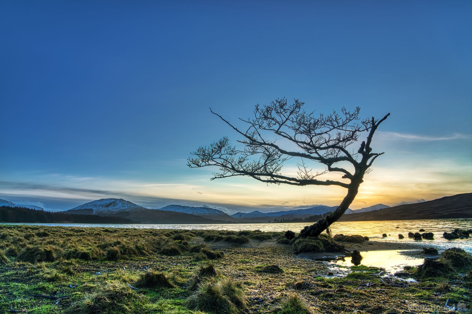 Image of Loch Tulla (Beach) by Peter Zalabai