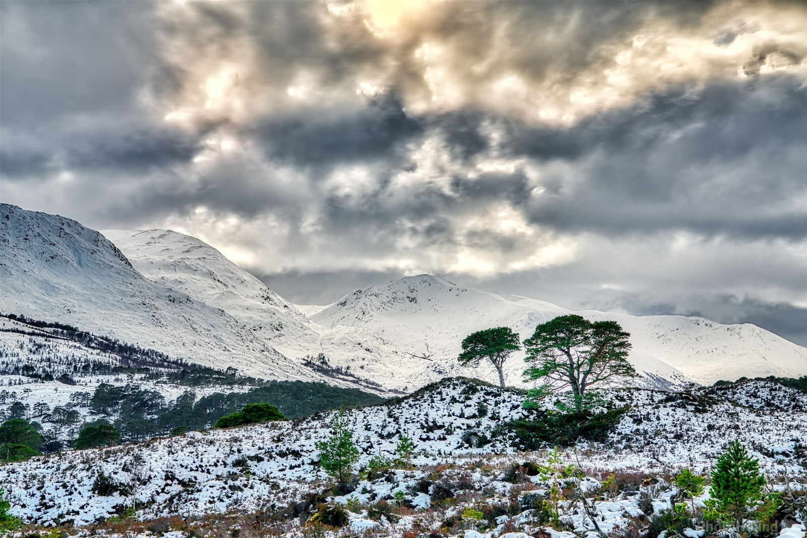 Image of Loch Affric by Peter Zalabai