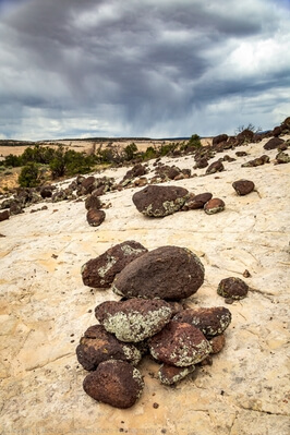 Volcanic boulders on white sandstone along trail
