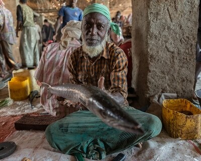 images of Yemen - Hadiboh Fish Market