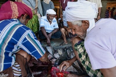 Yemen images - Hadiboh Fish Market