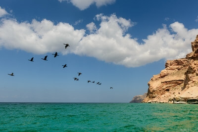 Yemen images - Shoab Beach, Socotra