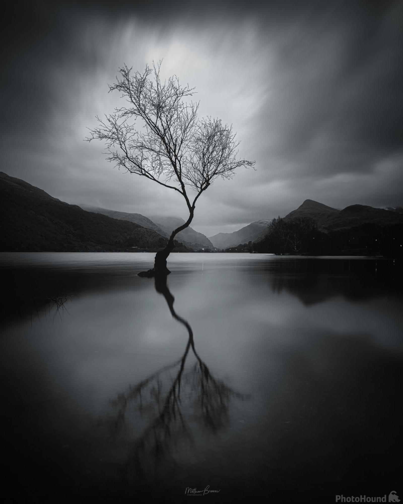 Image of Lone Tree by Mathew Browne