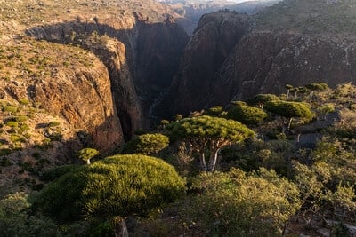 images of Yemen - Dixam Plateau, Socotra