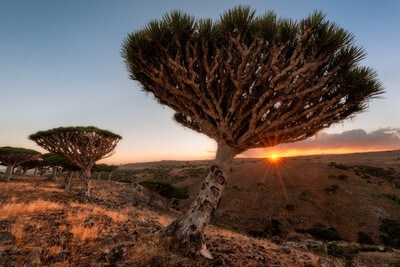 photography locations in Yemen - Dixam Plateau, Socotra