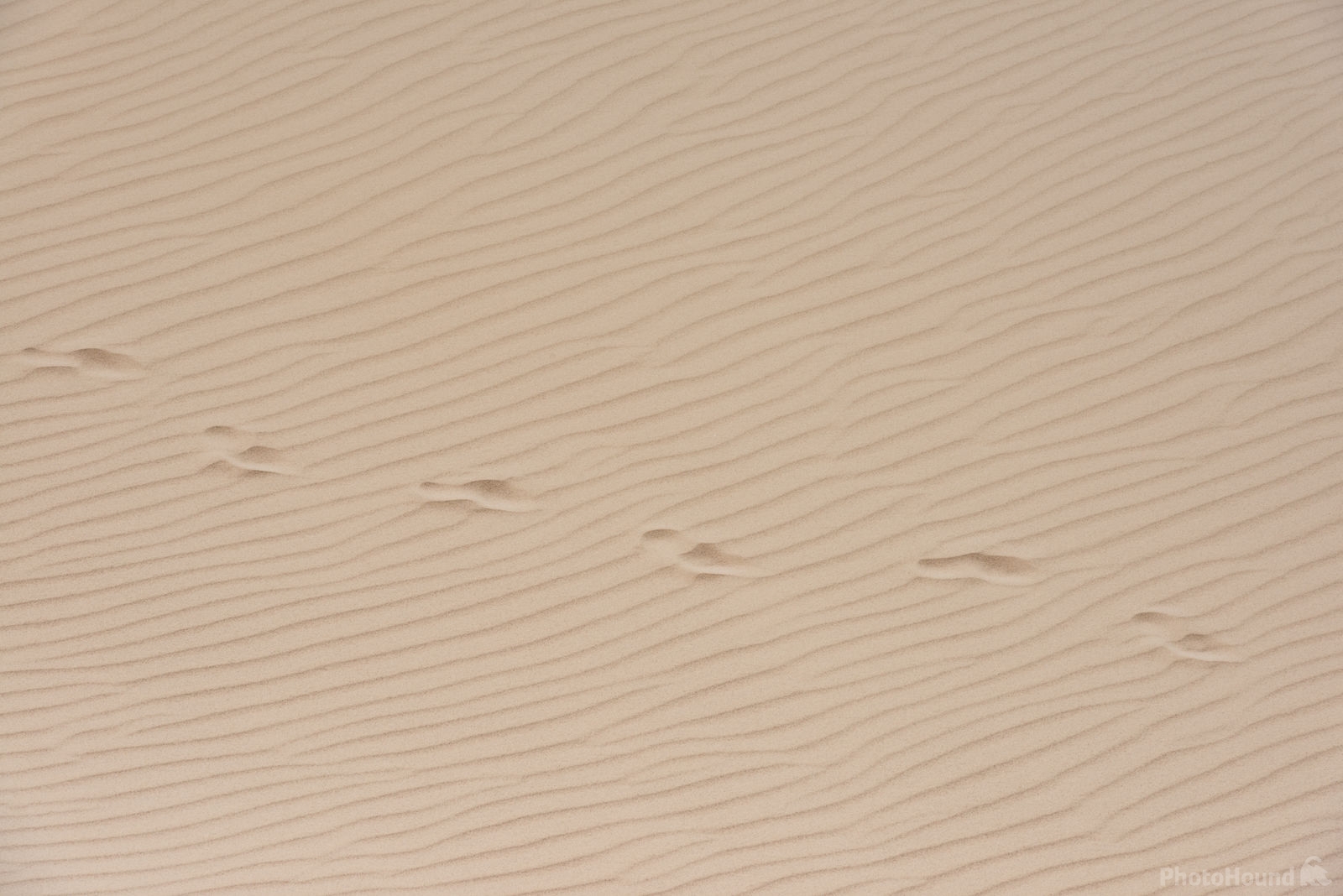 Image of Steroh Sand Dunes, Socotra by Luka Esenko