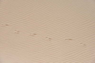 photos of Yemen - Steroh Sand Dunes, Socotra