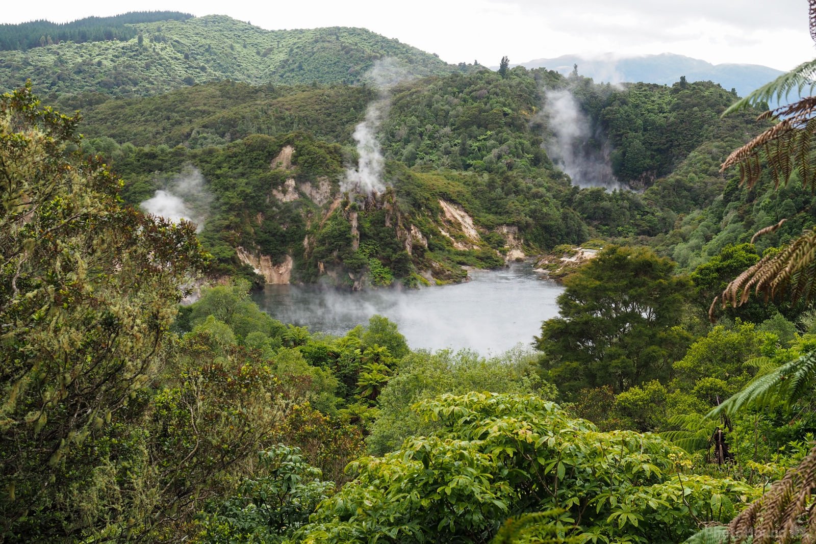 Image of Waimangu Volcanic Rift Valley by Saša Jamšek