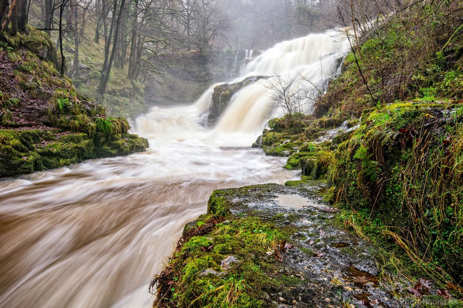 Image of Four Falls by Richard Lizzimore