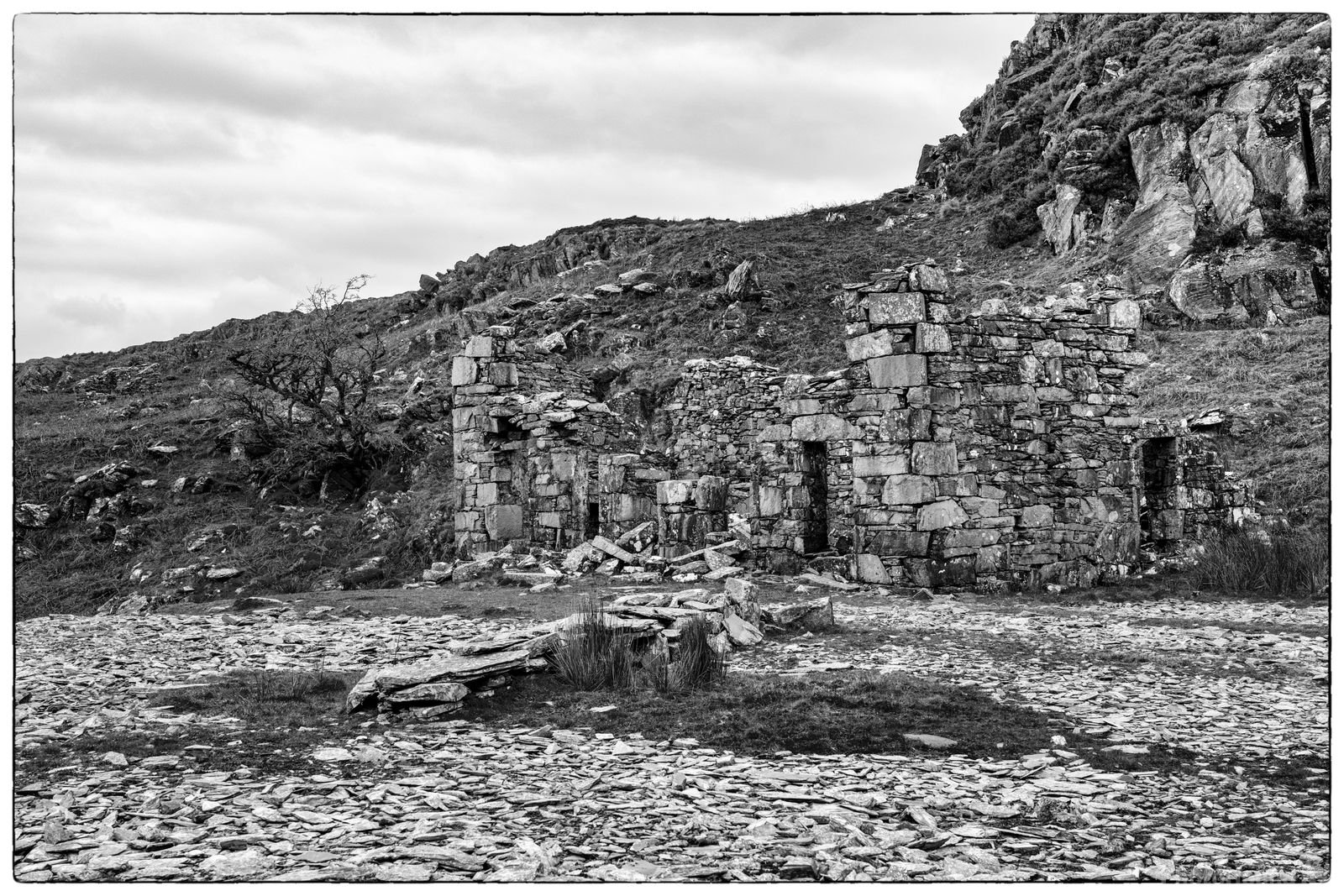 Image of Cnicht - disused quarry by Richard Lizzimore
