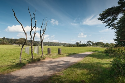 pictures of South Wales - Margam Country Park