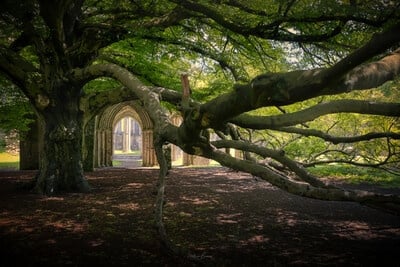 photos of South Wales - Margam Country Park