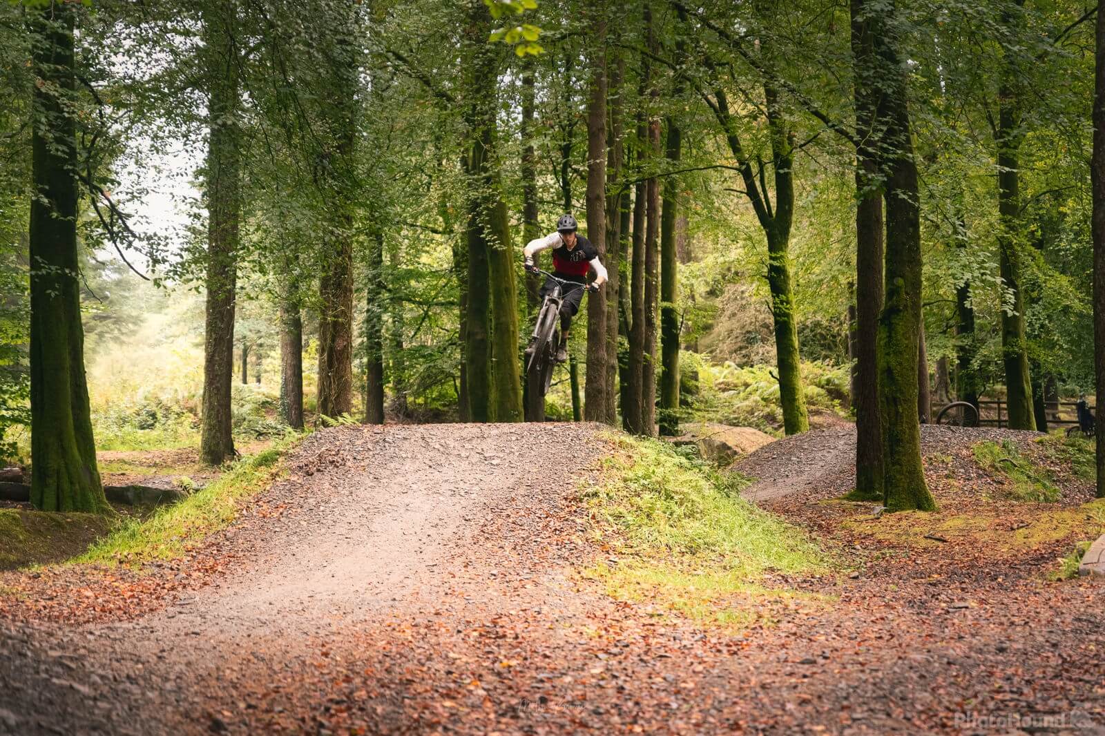 Image of Afan Forest Bike Park (Bryn Bettws Lodge) by Mathew Browne