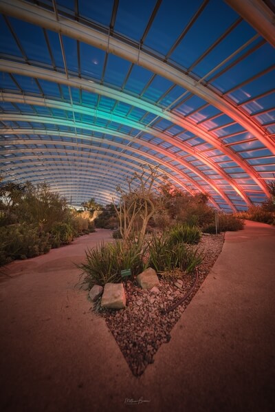 The Great Glasshouse at blue hour