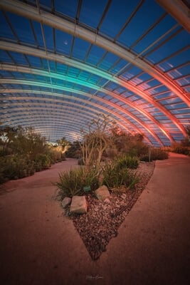 The Great Glasshouse at blue hour