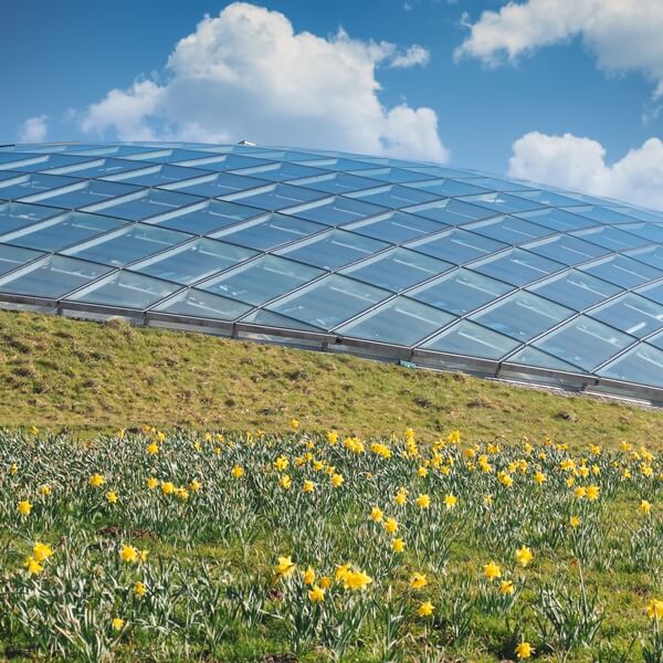 The Great Glasshouse