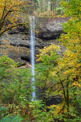 Image of South Falls - South Falls