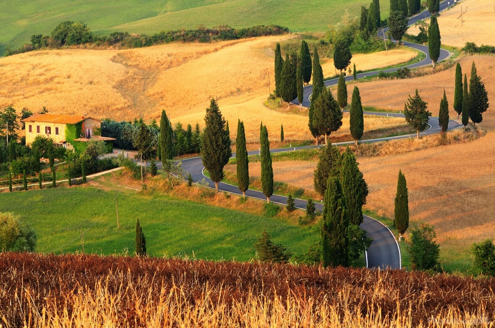 Image of Monticchiello winding road by VOJTa Herout
