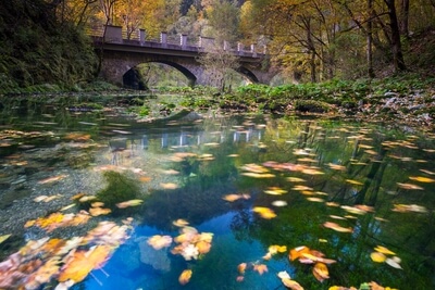 pictures of Slovenia - Wild Lake Idrija
