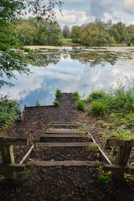 photos of South Wales - Gnoll Country Park