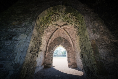 pictures of South Wales - Neath Abbey - Interior
