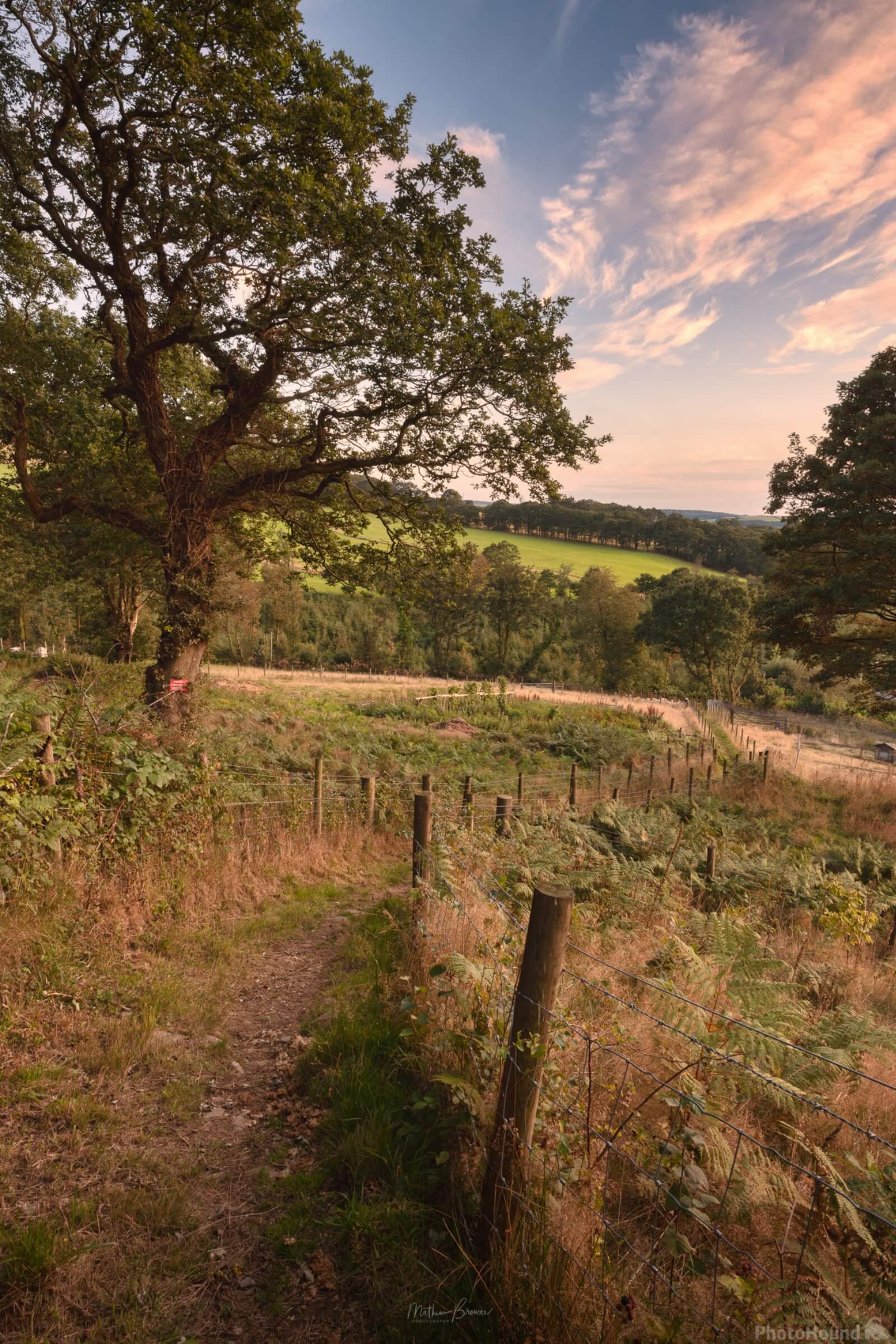 Image of View from Tonna Bridleway by Mathew Browne
