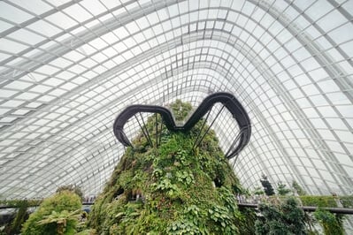 photos of Singapore - Cloud Forest