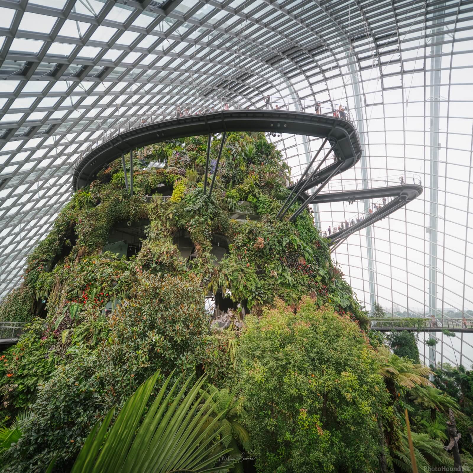 Image of Cloud Forest by Mathew Browne