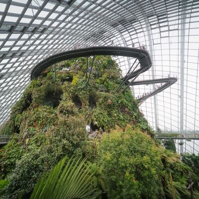 images of Singapore - Cloud Forest