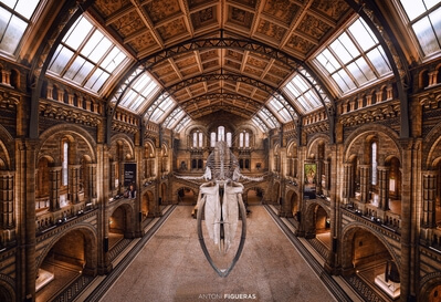 This magnificent hall is usually always overcrowded. An option to avoid this problem is to stack in photoshop several photographs taken with some separation in time, so that through masks you can get a clean image, a little laborious work but the place deserves it. This photograph is a panorama of three vertical photos, from the railing of the stair landing.