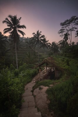 photo spots in Bali - Tegallalang Rice Terraces