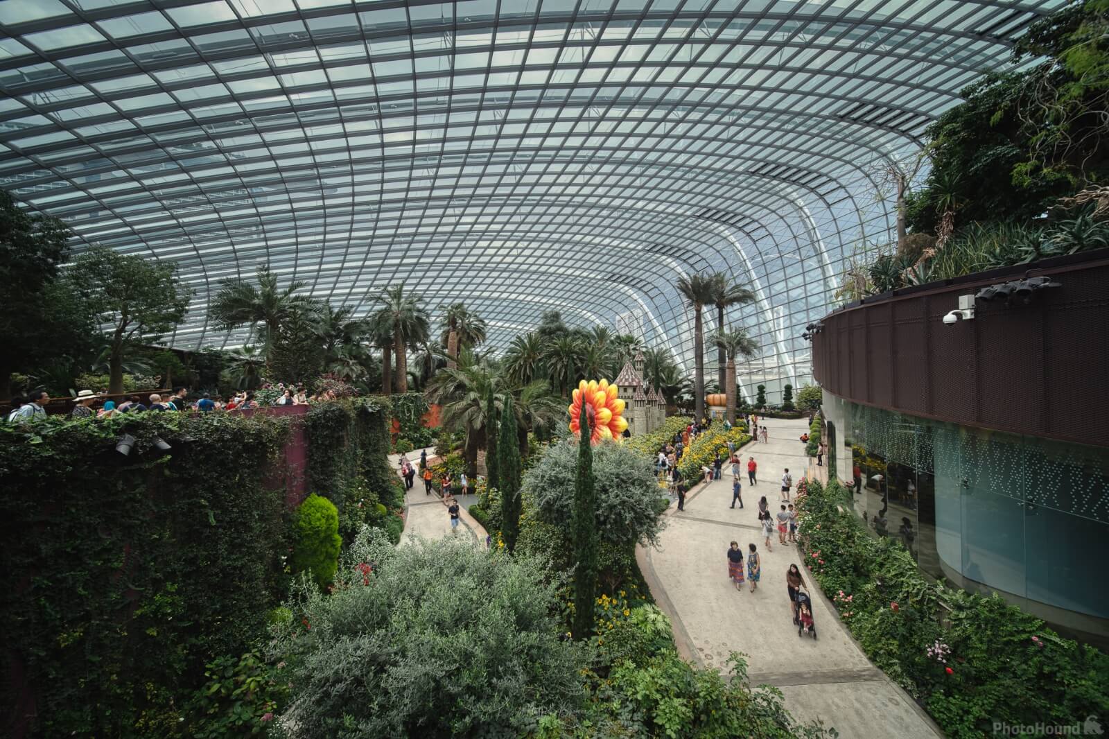 Image of Flower Dome by Mathew Browne