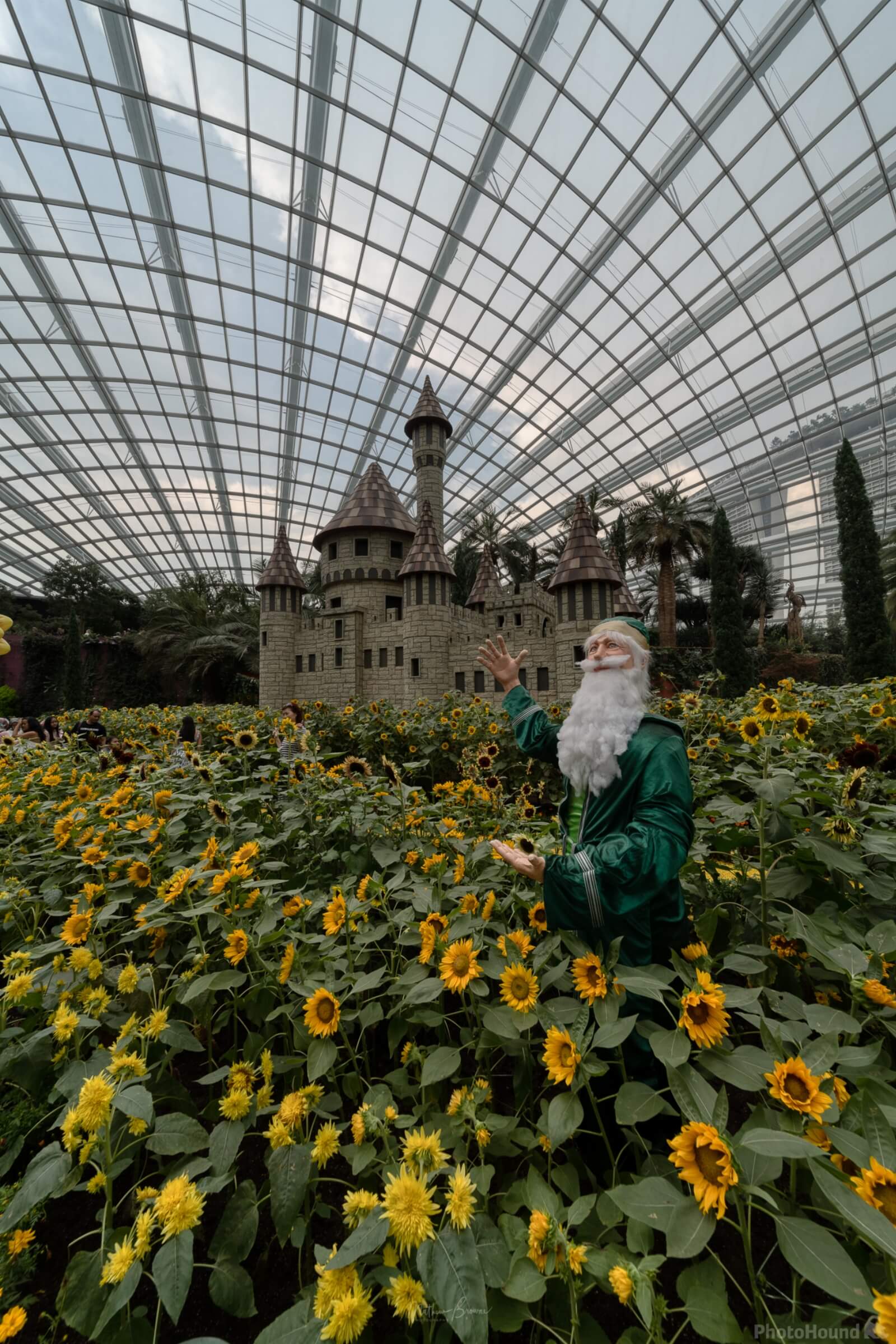 Image of Flower Dome by Mathew Browne