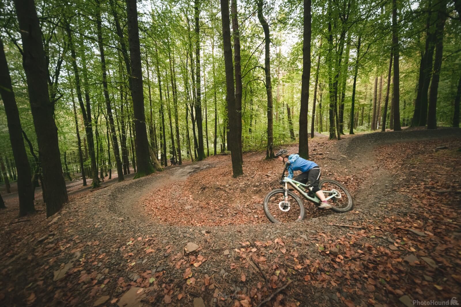 Image of Afan Forest Bike Park (Bryn Bettws Lodge) by Mathew Browne
