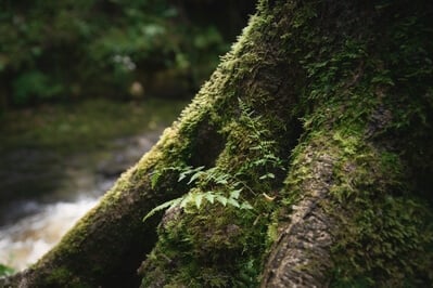 United Kingdom images - Cwm Du Glen