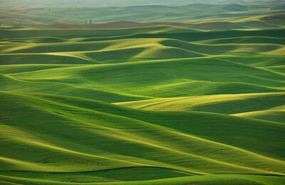 Standard sunset view of the rolling hills in the Palouse.