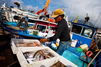 photos of Naples & the Amalfi Coast - Pozzuoli – Fish Market and Fisherman by the Port