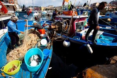 images of Naples & the Amalfi Coast - Pozzuoli – Fish Market and Fisherman by the Port