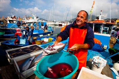 photos of Naples & the Amalfi Coast - Pozzuoli – Fish Market and Fisherman by the Port