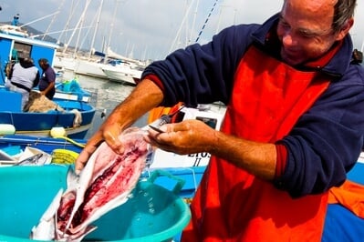images of Naples & the Amalfi Coast - Pozzuoli – Fish Market and Fisherman by the Port