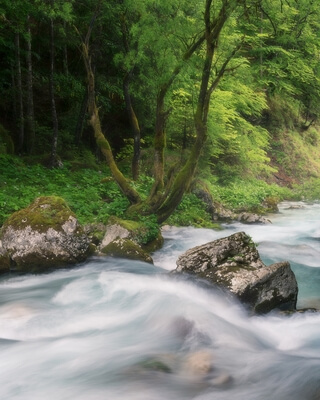 Slovenia photos - Zadnjica Valley