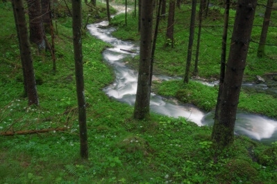 pictures of Triglav National Park - Zadnjica Valley