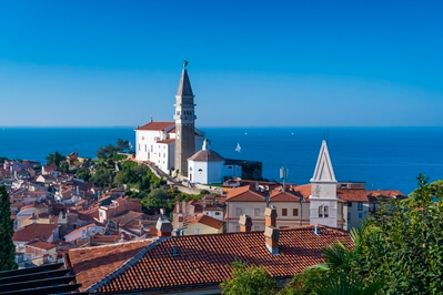 images of Istria - Piran Elevated View