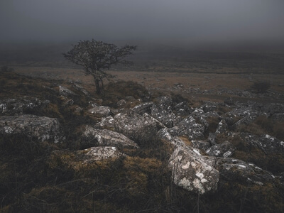 images of Dartmoor - King's Tor